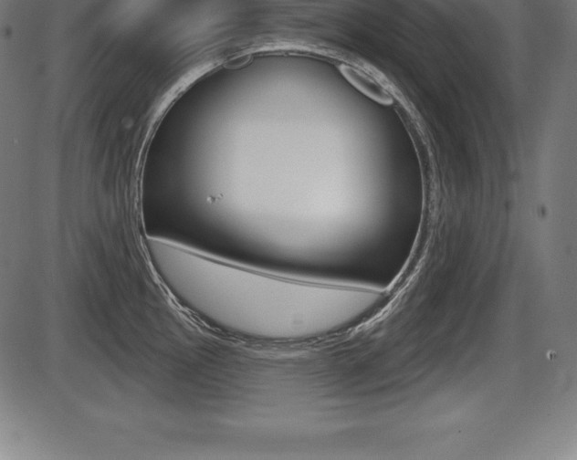 X0000087631145200705030721