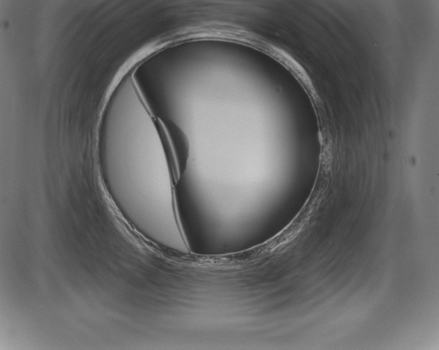 X0000087631146200705030721