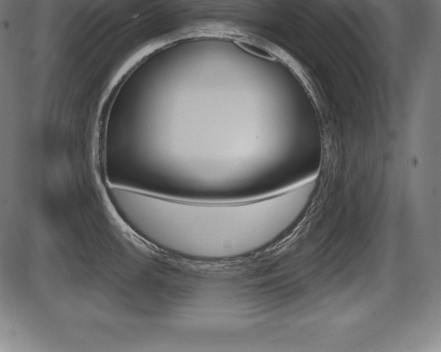 X0000087631147200705030721