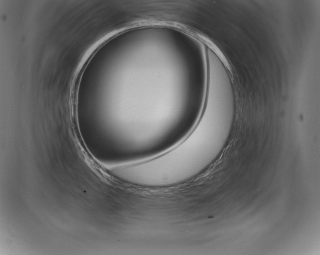 X0000087631148200705030721