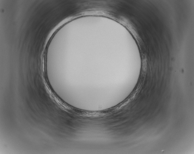 X0000087631150200705030721
