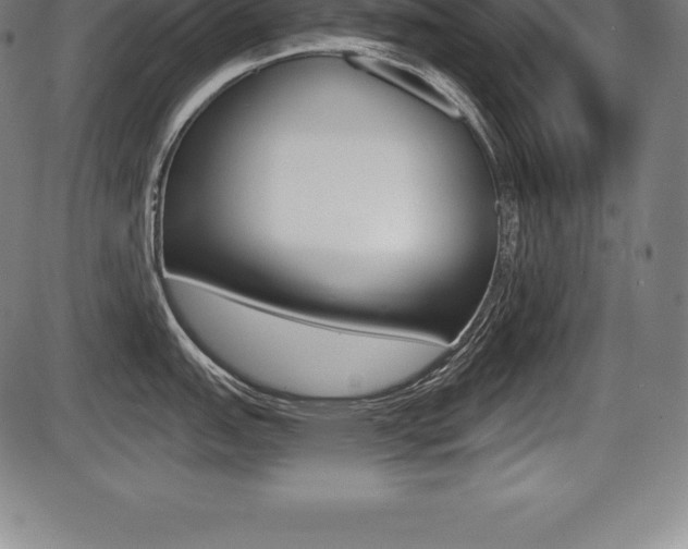 X0000087631151200705030721