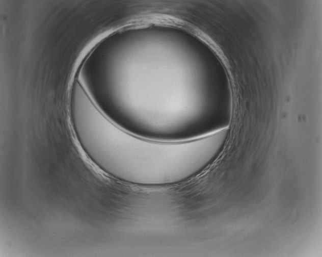 X0000087631152200705030721