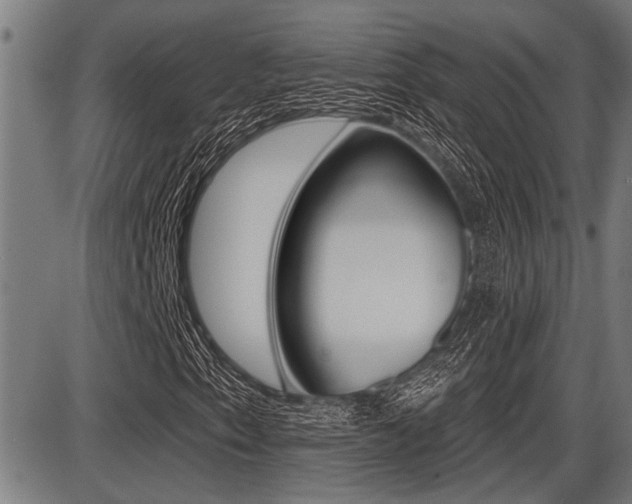 X0000087631153200705030720