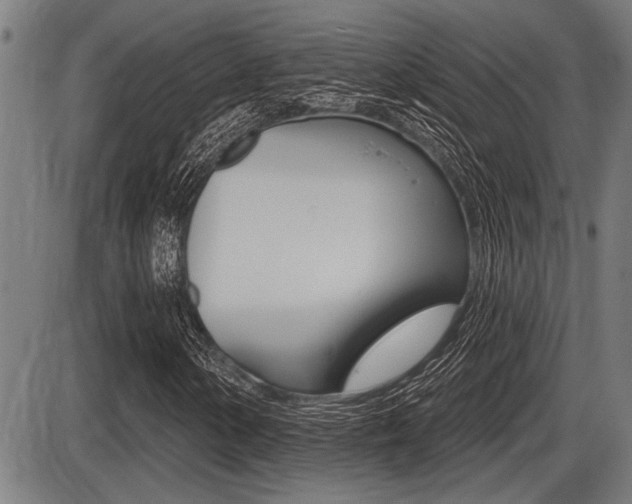 X0000087631154200705030720