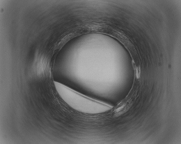 X0000087631155200705030720