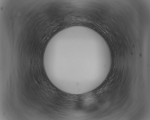 X0000087631156200705030720
