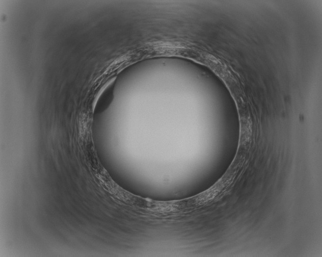 X0000087631157200705030720