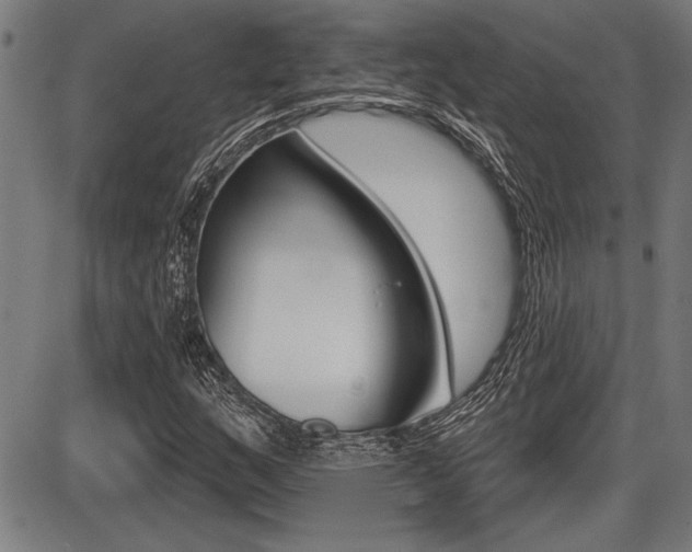 X0000087631159200705030720