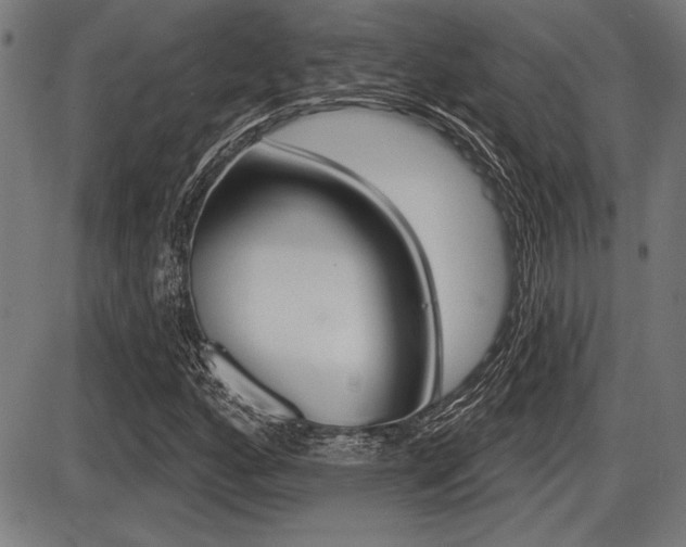 X0000087631160200705030720