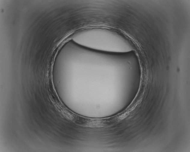 X0000087631162200705030720
