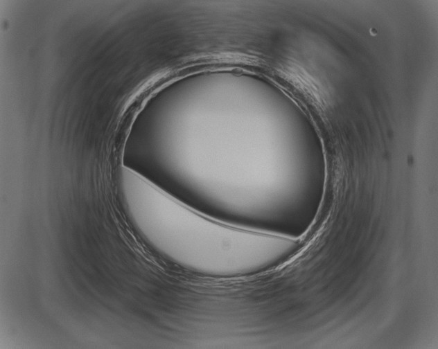 X0000087631163200705030720