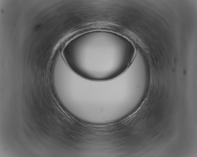 X0000087631164200705030720