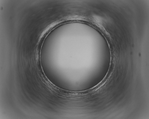 X0000087631167200705030720
