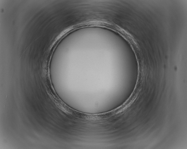 X0000087631170200705030720