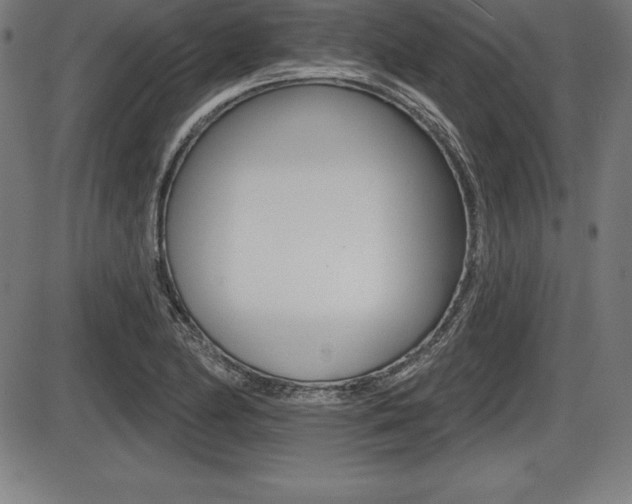 X0000087631174200705030720
