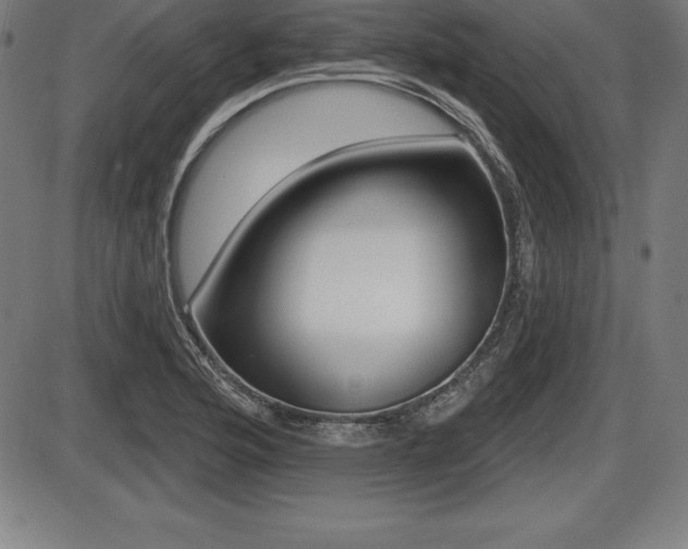 X0000087631176200705030720