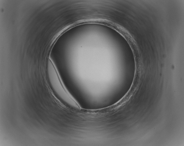 X0000087631177200705030720