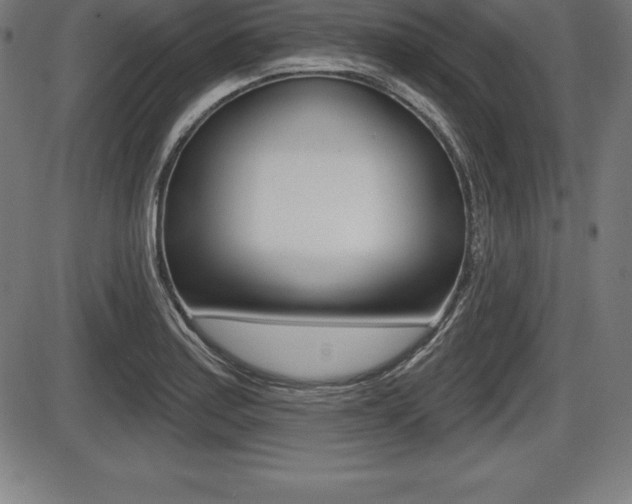 X0000087631179200705030720