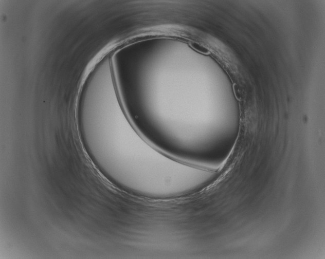 X0000087631180200705030720