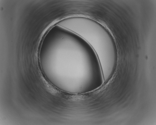 X0000087631181200705030720
