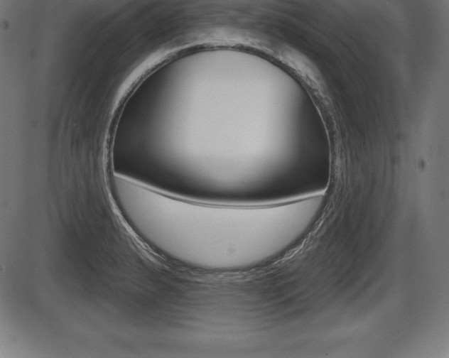 X0000087631183200705030720
