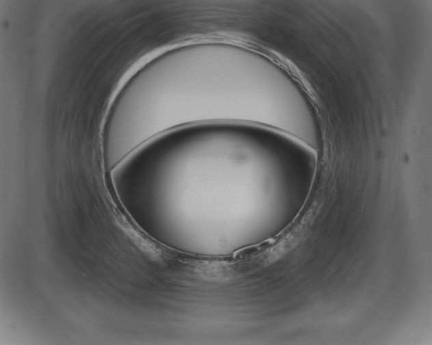 X0000087631184200705030719