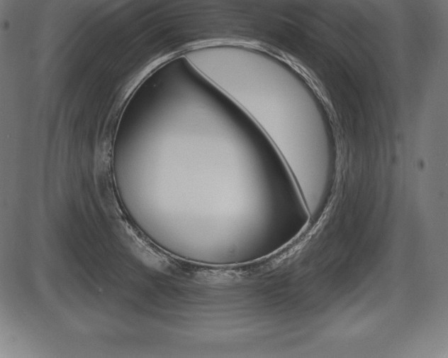 X0000087631185200705030719