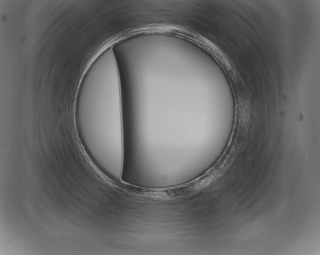 X0000087631186200705030719