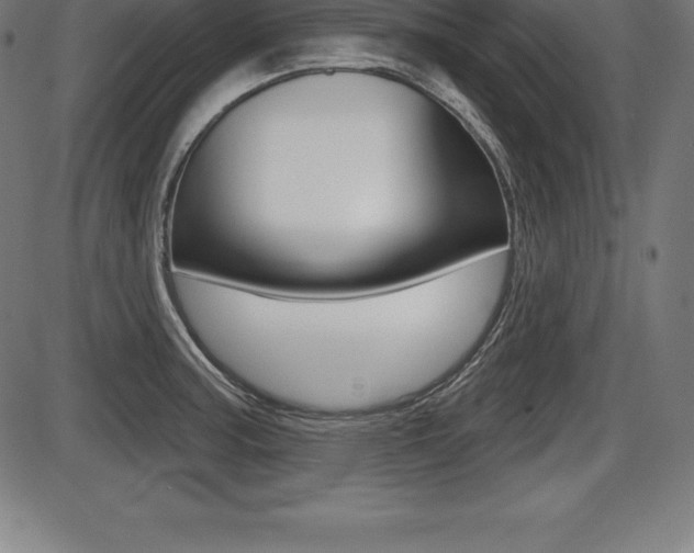X0000087631187200705030719