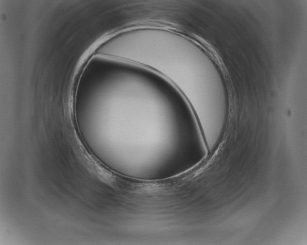 X0000087631188200705030719