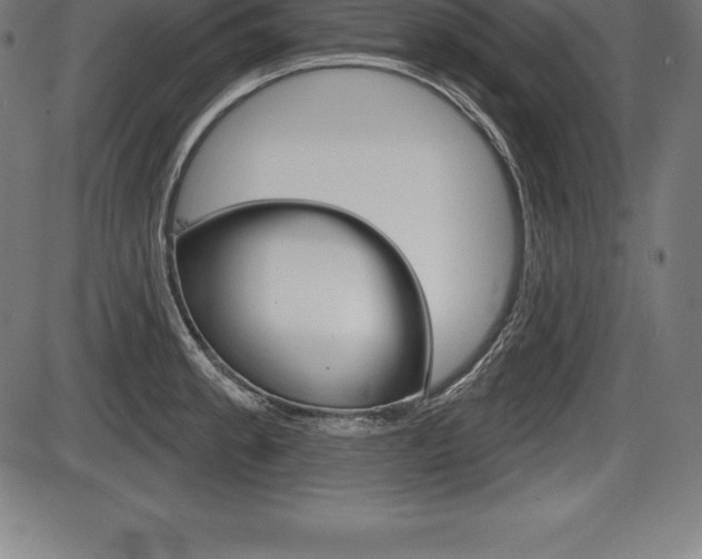 X0000087631189200705030719