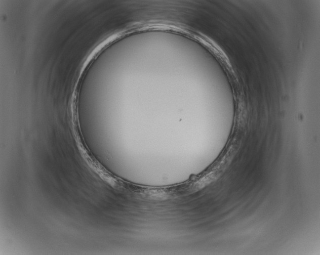 X0000087631190200705030719