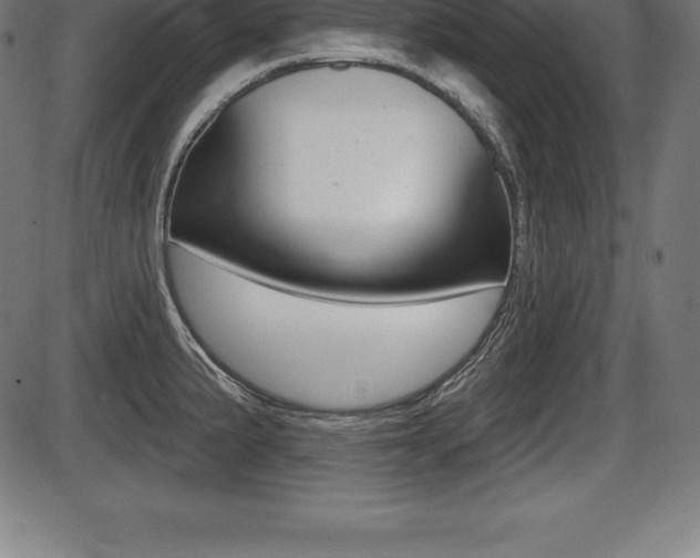 X0000087631191200705030719