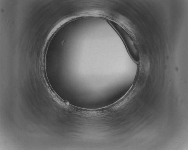 X0000087631192200705030719