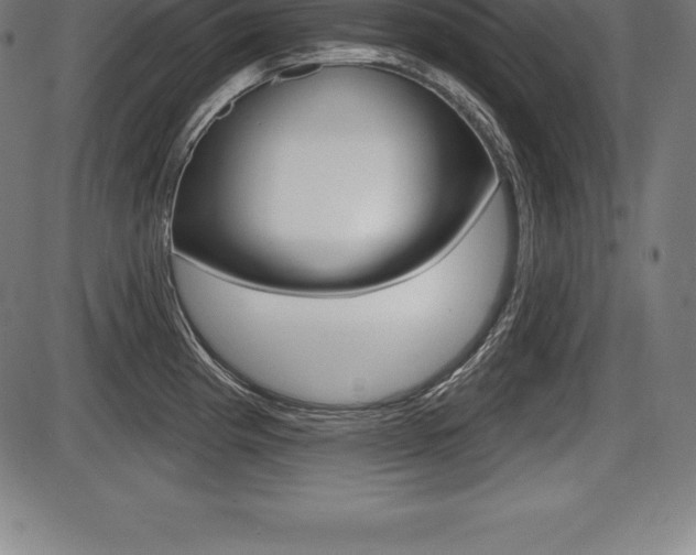 X0000087631193200705030719