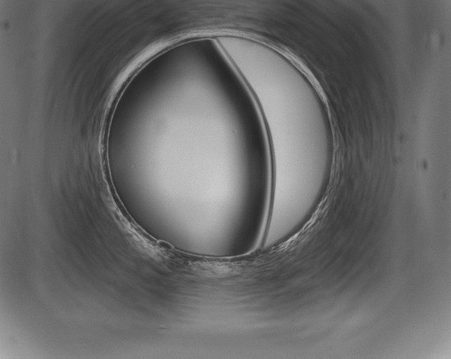 X0000087631197200705030719
