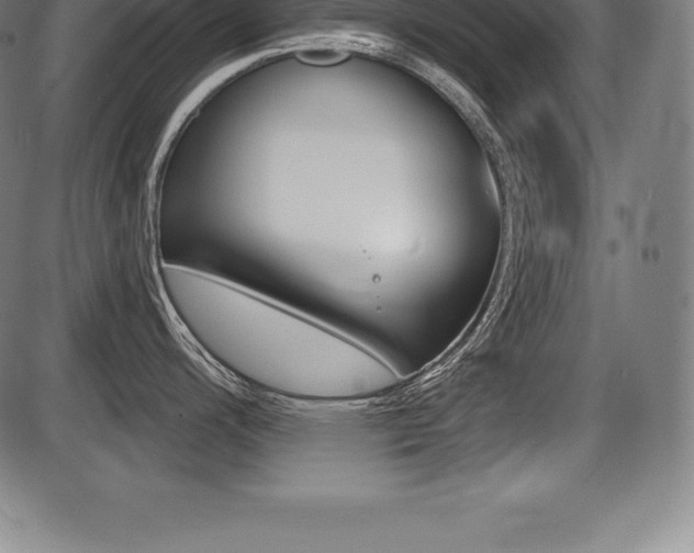 X0000087631200200705030719