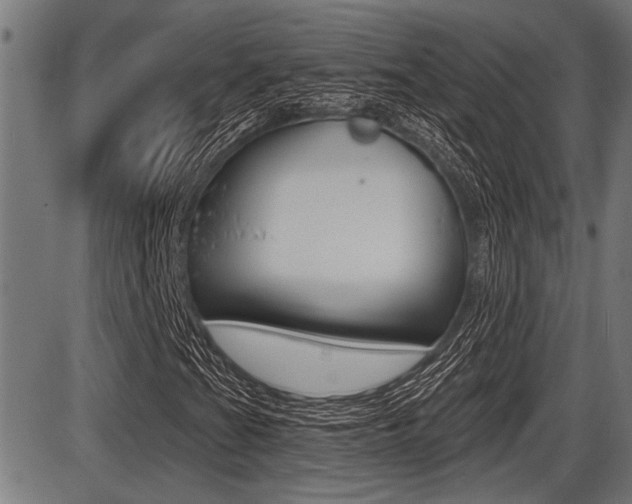 X0000087631201200705030718