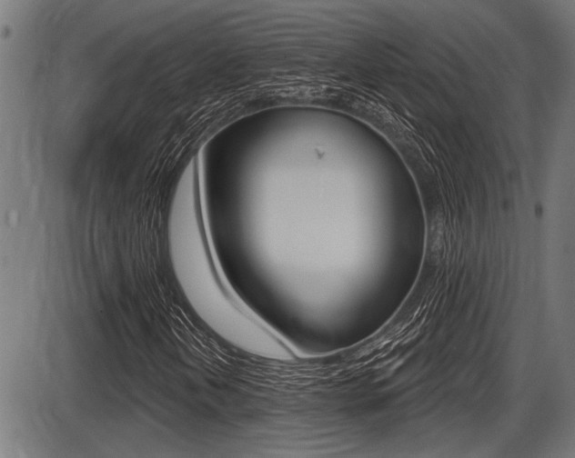 X0000087631202200705030718