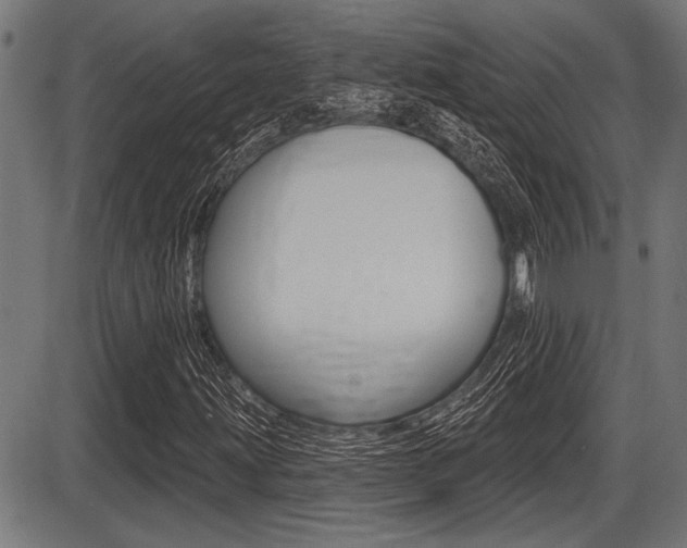 X0000087631203200705030718