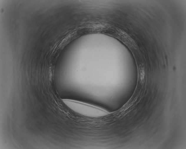 X0000087631204200705030718