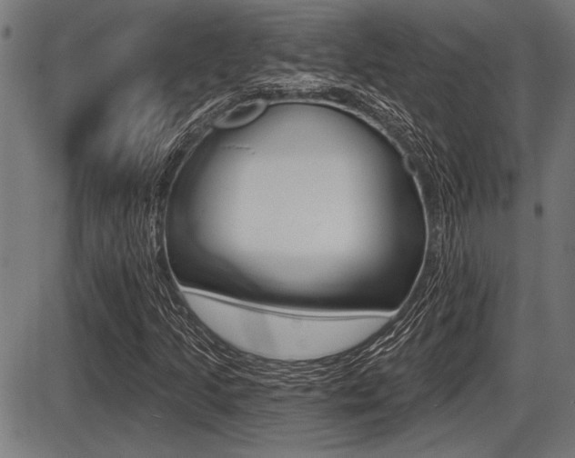 X0000087631205200705030719