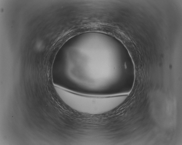 X0000087631206200705030719