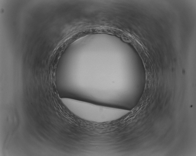 X0000087631207200705030719