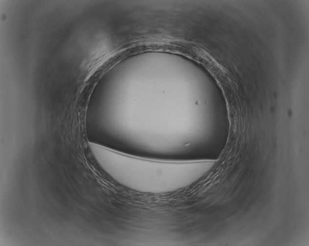 X0000087631208200705030719