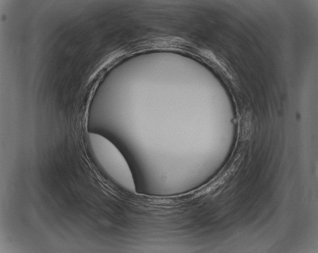 X0000087631211200705030719