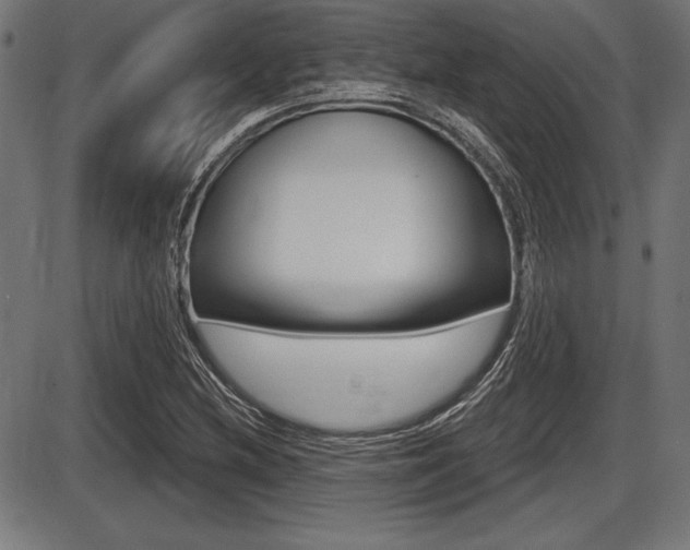 X0000087631212200705030719