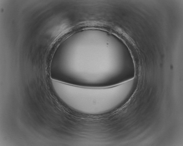 X0000087631213200705030719