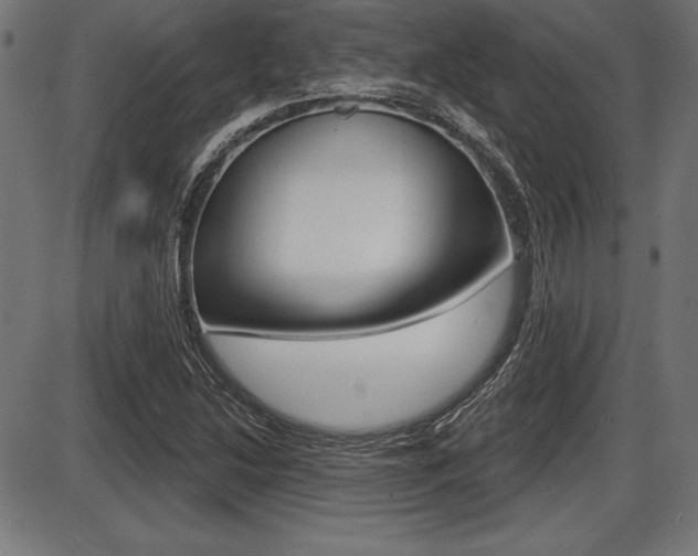 X0000087631214200705030719